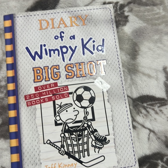 Diary of a wimpy kid 2 book bundle - Picture 3 of 3